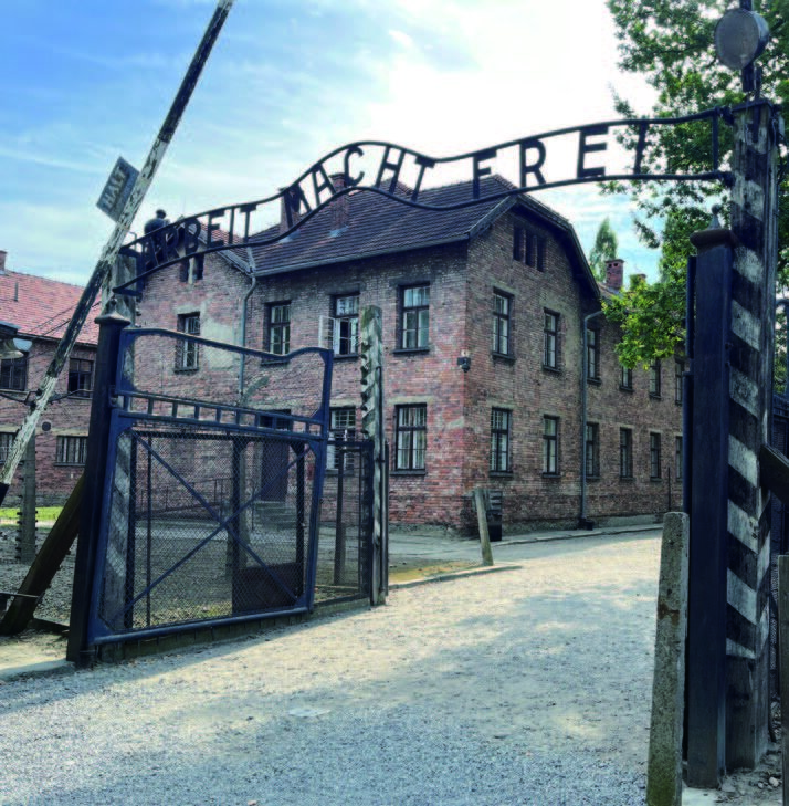 名大生のための特別研修　参加者募集中！のイメージ画像5